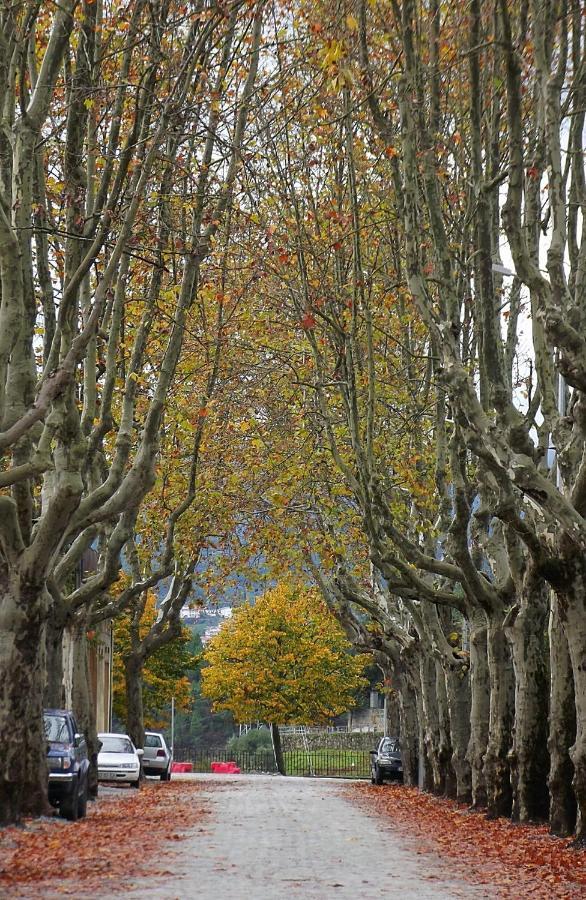 Douro - A Casinha Da Ana Leilighet Vila Real Eksteriør bilde